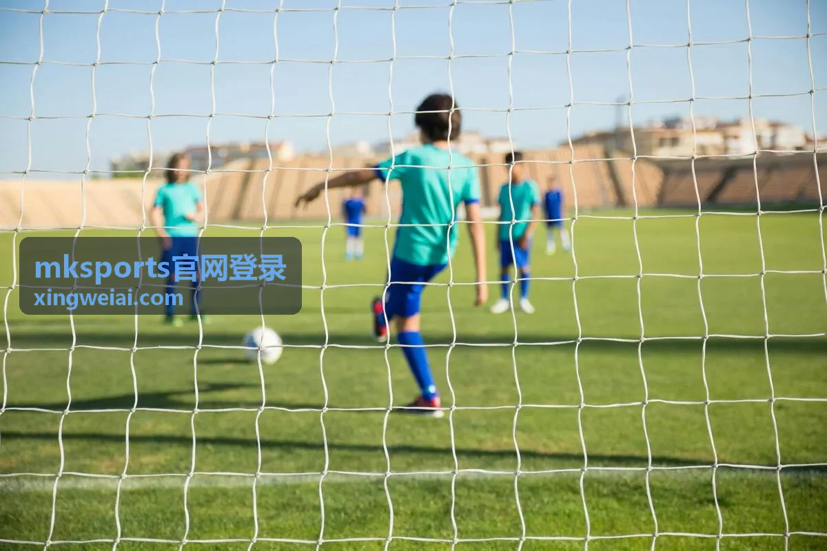 mksports官网登录账号安全与密码重设