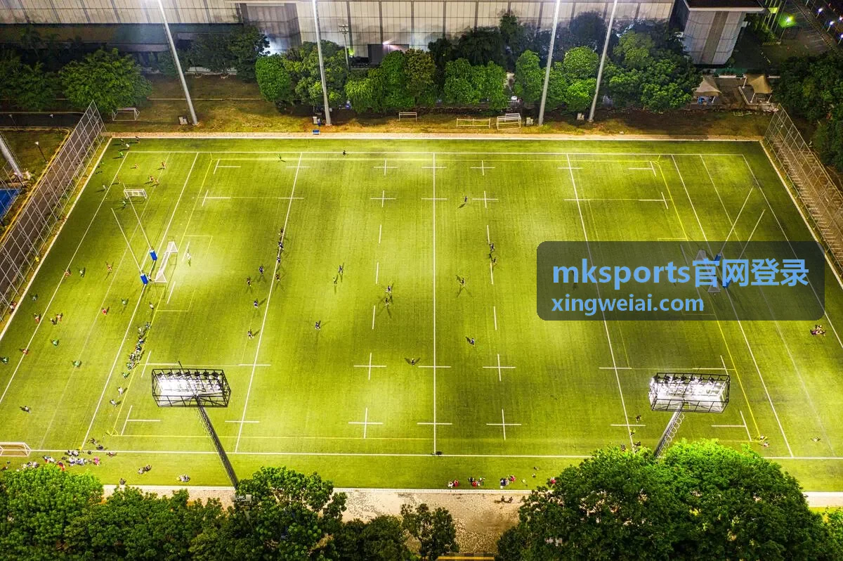 mksports官网登录设备与授权记录自查示意